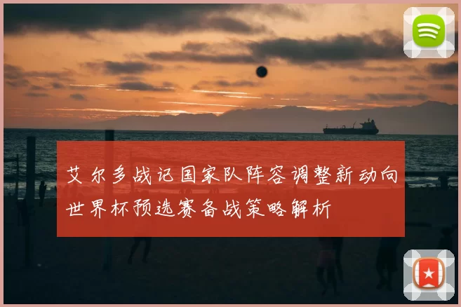 艾尔多战记国家队阵容调整新动向世界杯预选赛备战策略解析