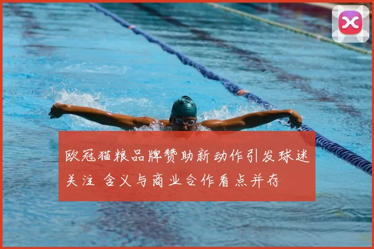 欧冠猫粮品牌赞助新动作引发球迷关注 含义与商业合作看点并存