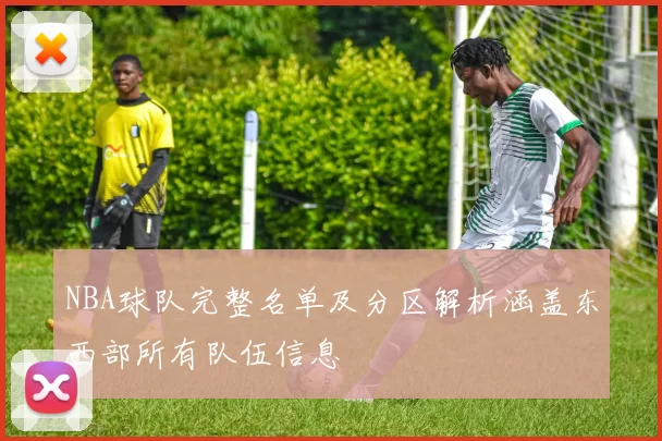 NBA球队完整名单及分区解析涵盖东西部所有队伍信息